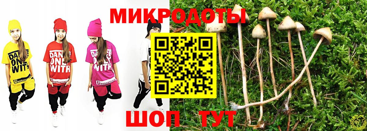 Галлюциногенные грибы Cubensis Мытищи