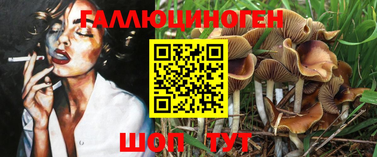Мытищи  Галлюциногенные грибы GOLDEN TEACHER  Галлюциногенные грибы Cubensis  хочу   Вход с VPN 